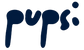 PUPSI – Pradžia